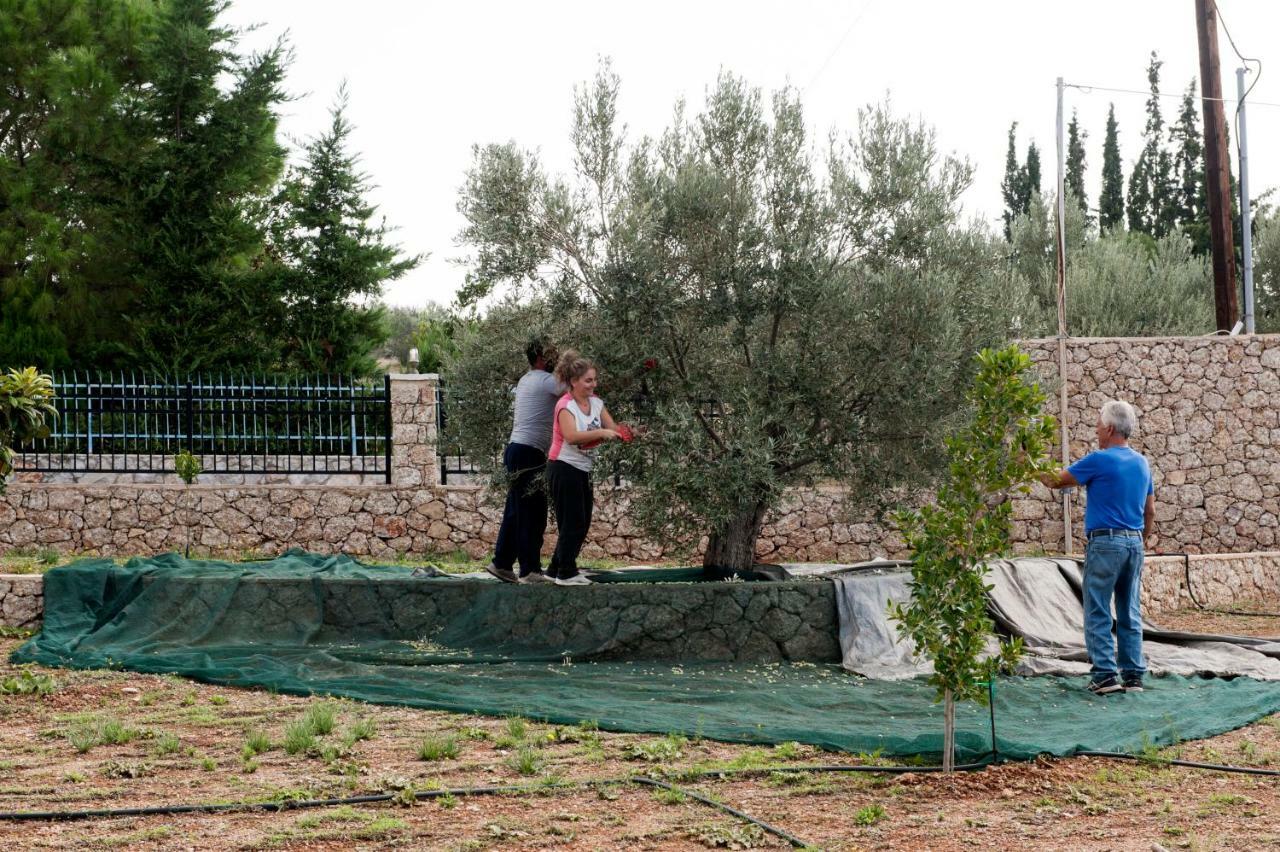 Villa Hermes Porto Heli Eksteriør billede